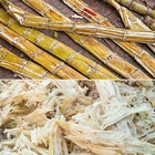 240pcs/D Molded Presswood Pallet Maker Machine For Sugarcane Bagasse