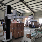 Mechanical Gripper Type and Palletizer Machine for Carbon Steel Baking Varnish