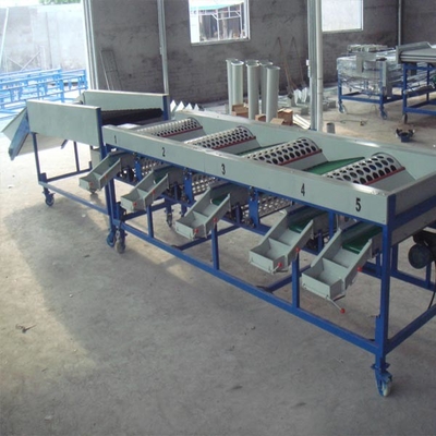 8 Tons One Hour 6 Levels Automatic Garlic Fruit Grading Machine By Size